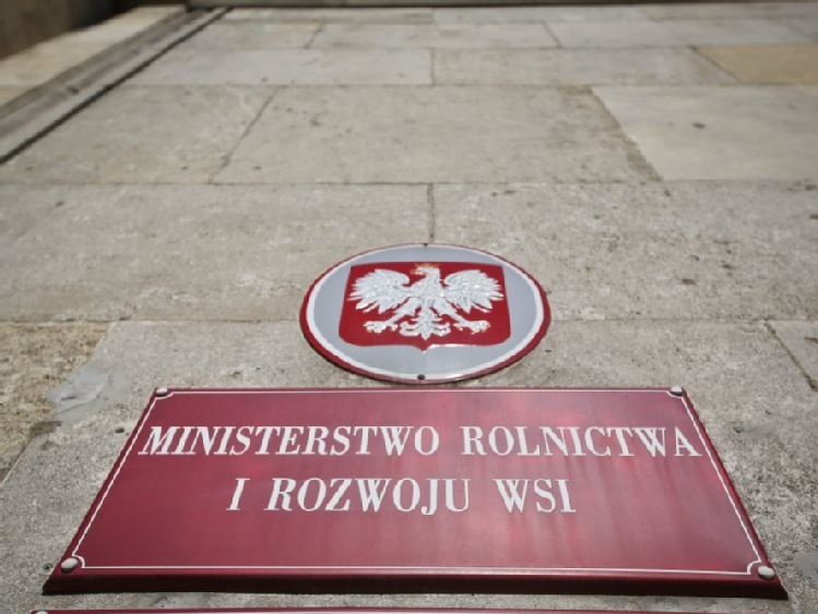 Polski eksport żywności może zbliżyć się w 2016 r. do 25 mld euro